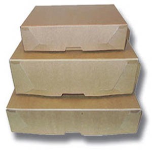 CAJA ARCHIVO TD CARTA 12 T/V CARTON DUPLEX