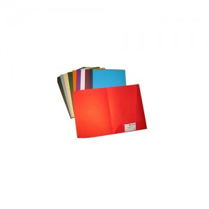 CARPETA G-A 829S PRESENTACION COLOR DOBLE SOLAPA