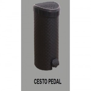 Cesto Ratan C/Tapa a Pedal