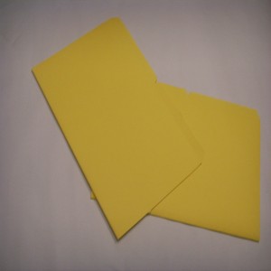 CARPETA 2 POSICIONES PH F-55 AMARILLA