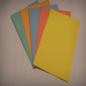 CARPETA CARATULA PH F55 NARANJA F03