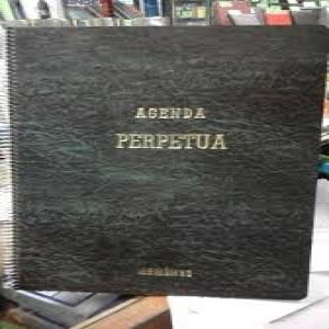 MERIDIANO 205 AGENDA PERPETUA S/INDICE 22x34