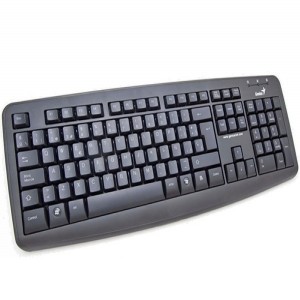 TECLADO GENIUS KB-110X NEGRO USB