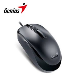 MOUSE GENIUS DX-120 USB NEGRO